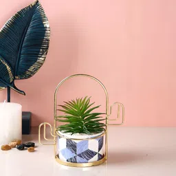 Myntra Elegant Homes White & Blue Chevron Printed Frame Planter-11