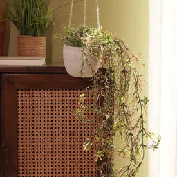 Pure Home and Living Green & Purple Hanging Alstroemeria Artificial Flower With Cement Pot-14