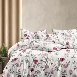 Aura White Floral 350 TC King Bedsheet with 2 Pillow Covers-36