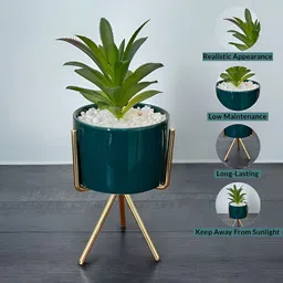 Art Street Green Planters With Metal Stand-52