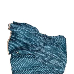 Kota Doria Dupatta-12