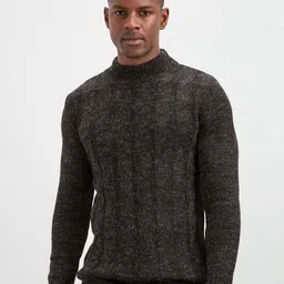 Trendyol Men Self Design Round Neck Pullover Sweater-image-46