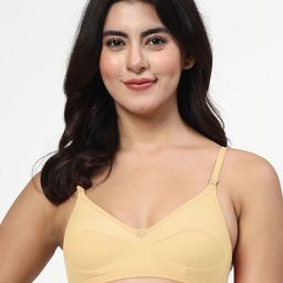 LILY Anpas Pack Of 2 Full Coverage Cut and Sew Bra image 3