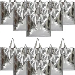 Silver Shiny Shopping Re-usable Eco-Friendly Hand Bag,Small Size-Pack of 12 (Silver) Pack of 12 Grocery Bags-image-39