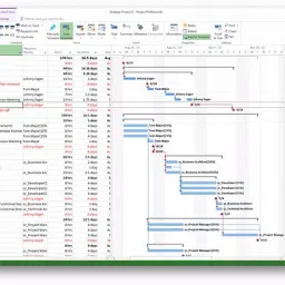 MICROSOFT Project Professional 2021 (1 User, Lifetime Validity) image 5