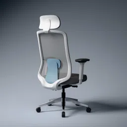 Cosmos Pro Minimal Design Ergonomic Office Chair | Intelli-Adapt | 4D armrest Mesh Office Adjustable Arm Chair-image-89