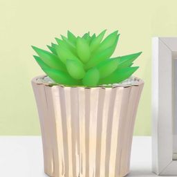 Ekhasa Green 1 Pieces Artificial Plant With Pot-11