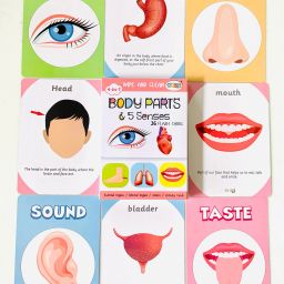 kyds play Early Learning Combo of 6 - Volume 2 - Wipe & Clean Activity Flash Cards image 2