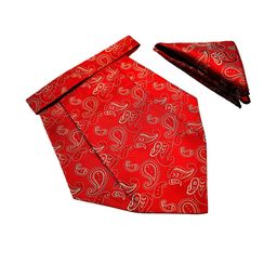 Paisley Design Cravats & Pocket Square Combo-image-50