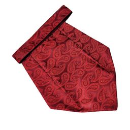 Paisley Design Cravats-image-81