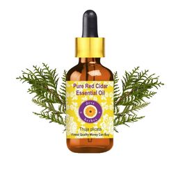 Deve Herbes Pure Red Cidar Essential Oil With Glass Dropper - 15 ml-10