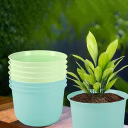 Kuber Industries 8 Pcs Planters With Plate-16