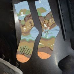 ZEVORA Patterned Calf Length Socks-image-32
