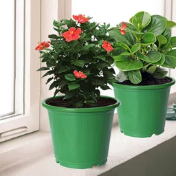 Kuber Industries 3-Pcs Green DurablePlanters-39