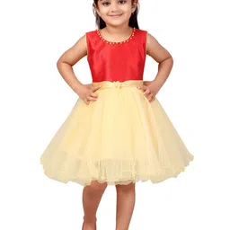 BAESD Net Fit & Flare Dress-picture-14