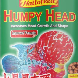 Humpy Head Fish Food,100gm (High Quality) 0.1 kg Dry Adult, Young, Senior Fish Food-image-53