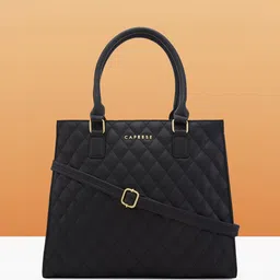Caprese Women Solid Structured Leather Handheld Bag-36