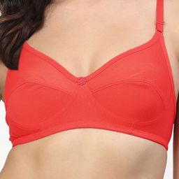 LILY Full Coverage Bra image 4