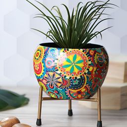 Homspurts Printed Apple Bowl Planter-13