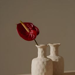 PUREZENTO White Textured Ceramic Vases-31