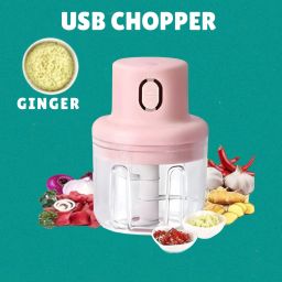 Electric Chopper, Rechargeable Chopper for Kitchen Vegetable & Onion Garlic D188 Electric Vegetable & Fruit Chopper-image-97