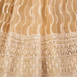 DIVASTRI Embroidered Thread Work Semi-Stitched Lehenga & Unstitched Blouse With Dupatta image 3