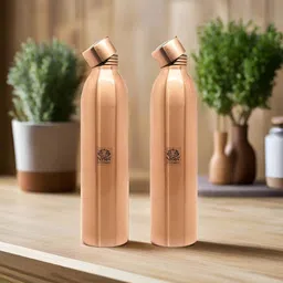 Nyra Kitchenware Copper-Toned Set of 2 Copper Solid Double Wall Vacuum Water Bottle-11