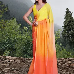 Mitera Ombre Organza Saree-picture-43