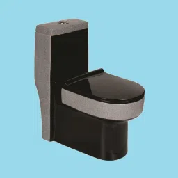 Designer Floor Mounted Water Closet EWC for Toilet S Trap Distance 215mm Color Western Commode-14