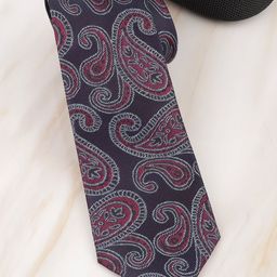 Alvaro Castagnino Men Woven Design Skinny Tie-picture-4