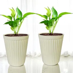 Plastic Planter Pot for Indoor Outdoor Plants 14 Inch Flower Pot (Pack of 2)-55