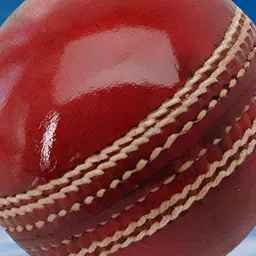 HackerX Pebble Leather Sports Cricket Ball-picture-52