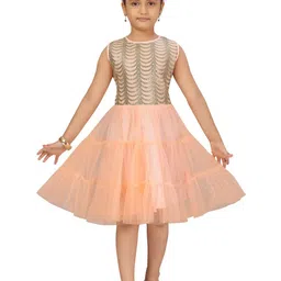 BAESD Net Fit & Flare Dress-40