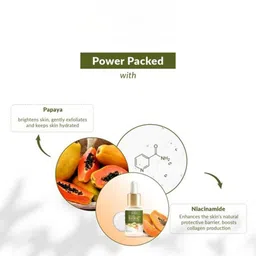 Lotus Botanicals Set Of 3 Brighten & Glow Skin Clarifying Super Serum - 14 ml Each image 5