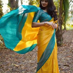 VILLE FASHION Woven Design Zari Banarasi Saree-picture-37