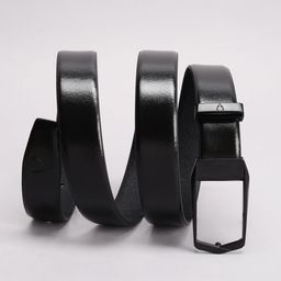 Allen Solly Men Leather Formal Belt-image-44