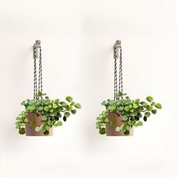 Claymistry 2Pcs Brown Ceramic Hanging Planter With Rope-8