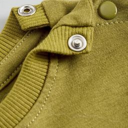 Hopscotch Boys Olive Clothing Set-picture-17