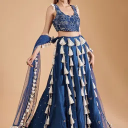 Payal Singhal Embroidered Ready to Wear Lehenga &-picture-46