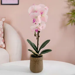 UMAI Pink 1 Pieces Artificial Flower With Pot-3