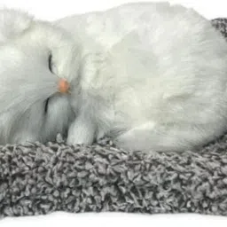 Stuffed Sleeping Cat Plush Toy With Press Simulation Sound, Animal Fur Soft Toy- 6 cm-20