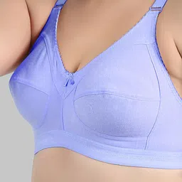 Arc de Shapes Bra Full Coverage image 5