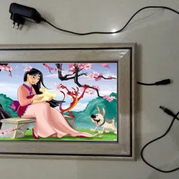 MODAL NO 04 CINDERELLA 18 inch ELECTRONIC LED FRAME-picture-14