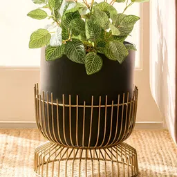 Home Centre Gardenia Shine Black & Yellow Textured Metal Floor Planter With Stand-image-88