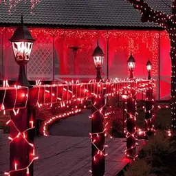 KAVYARA Red Rice Shape String Light image 3