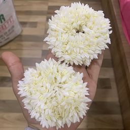Blubby Women Pack Of 2 Ponytail Holders-56