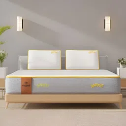 SleepyCat Original Ortho Medium Firm 6 Inch Thickness Single Size Mattress 75x36x6 Inches-picture-9