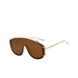 Secret Lives Unisex Brown Lens & Gold-Toned Other Sunglasses with-image-64