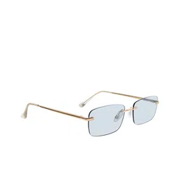Steve Madden Unisex Square Sunglasses with UV Protected Lens X17295-Gold-Clear-23