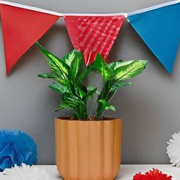 LASAKI Flona Bronze Ceramic Planters-image-49